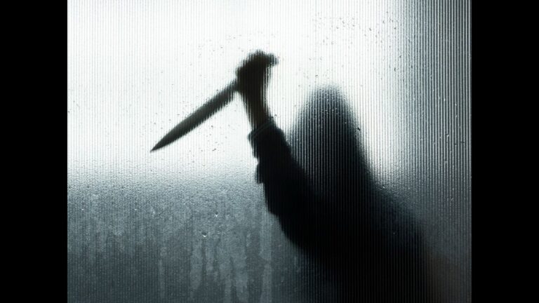 Delhi Businessman Allegedly Murders Wife, Disposes Body in Drain