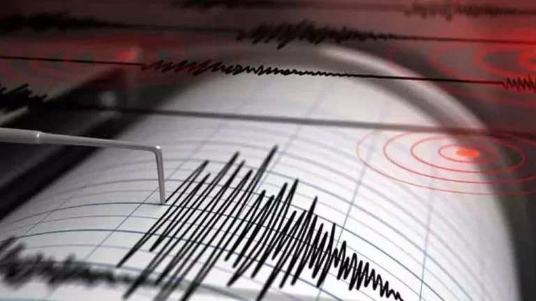 Magnitude 3.1 Earthquake Strikes Bhavnagar, Gujarat; No Casualties Reported
